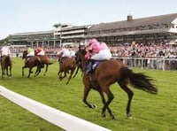 Veterans group at Chepstow Racecourse