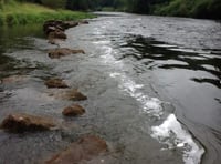 High sewage levels cause river fears