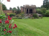 A hive of activity at Nelson Garden’s bee festival