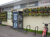 Town Council wants BT phone box to stay put