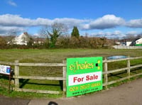 Bee orchard land on the market