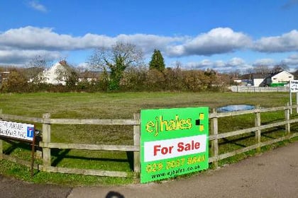 Bee orchard land on the market