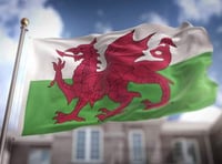 Petition launched to make the dragon on Welsh flag a Boy-o!