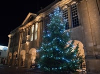 Plastic Christmas trees for town?