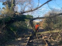 Network Rail's biggest ever tree survey in Wales is improving railway safety and biodiversity