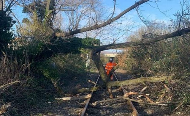 Network Rail's biggest ever tree survey in Wales is improving railway safety and biodiversity