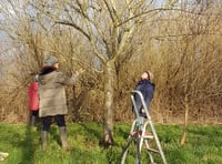 Community news: Monmouth Community Orchard