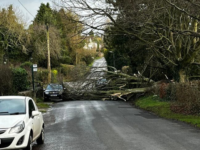 Tree blocks Penallt road.