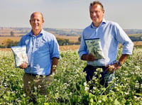 Wye Valley crisp-making farmer’s polytunnel bid crunched