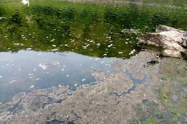 Scum on surface of the Wye