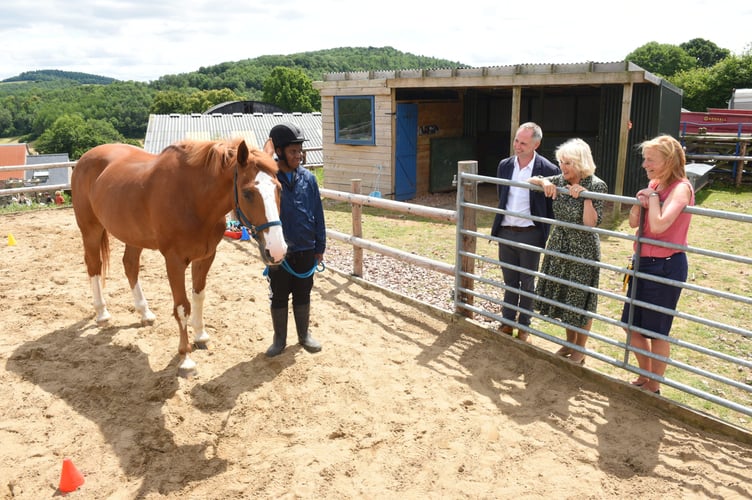 Meeting one of the therapy horses