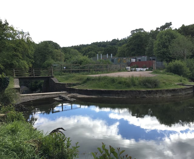 'Significant work' needed if Cannop Ponds are to remain