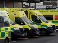 More than a quarter of ambulance patients waited more than an hour at the Wye Valley Trust last week