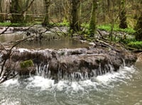 Rare brook dams 'saved' as park lodges plan rejected 