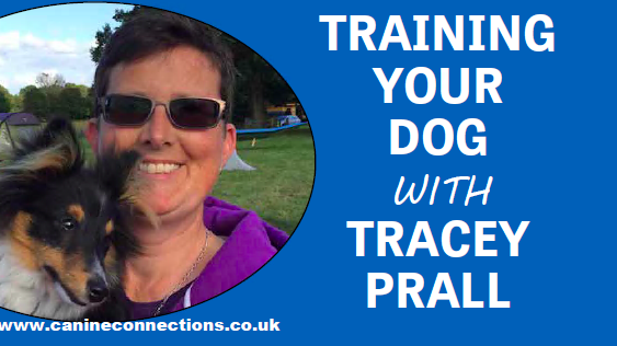 Training your dog with Tracey Prall