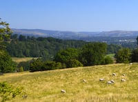 Wales launches first-ever strategy to tackle wildlife and rural crime