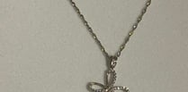 Necklace stolen in house raid 