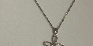 Necklace stolen in house raid 