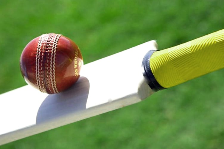 Cricket bat and ball