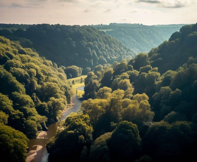 Dave Kent on the Forest and Wye Valley's 'thriving' arts scene