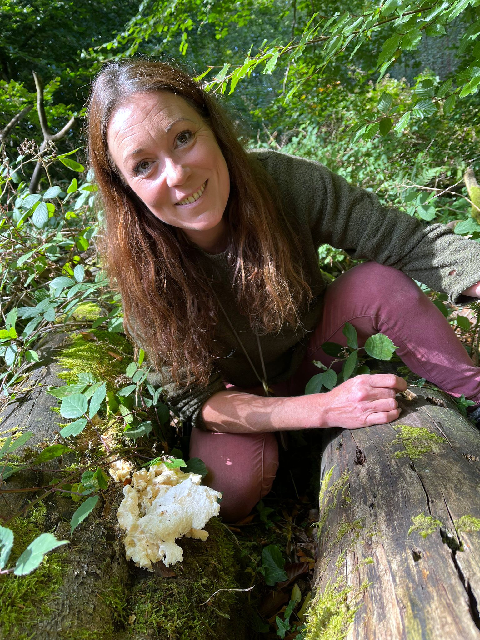 Weather paves way for spectacular autumn colour, say Forestry England  experts