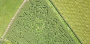 An a-maize-ing maze in the likeness of King Charles