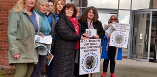 Raided animal sanctuary supporters picket Monmouthshire County Hall 