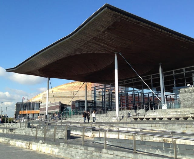 Plans to reform Senedd elections 'a step back'