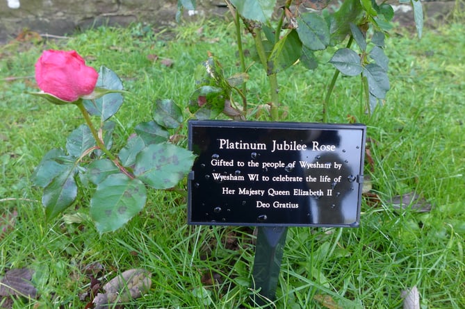 Jubilee rose in St James' Church