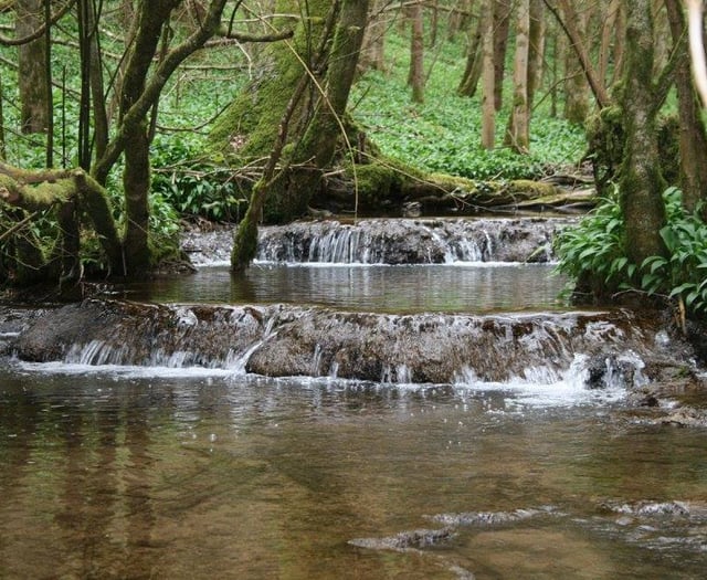 Wye Valley council considers using power of streams for electricity