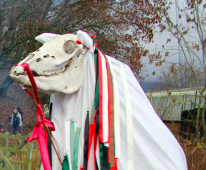 Mari Lwyd