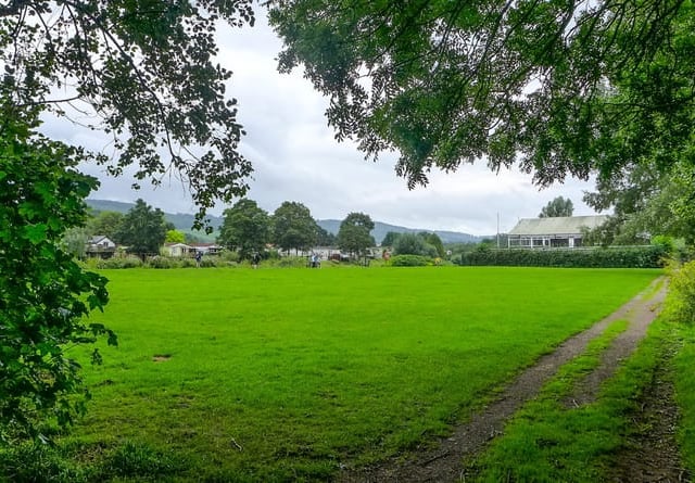 Have your say on Monmouth town field biodiversity scheme