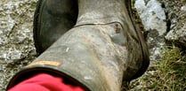 Farmers asked to donate old wellies to campaign Senedd display