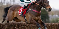 Wye Valley trainer's big hopes for Cheltenham Festival 