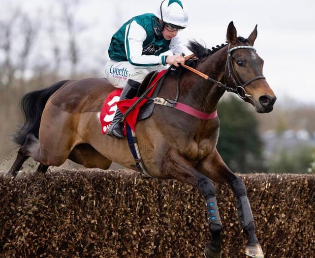 Wye Valley trainer's big hopes for Cheltenham Festival 