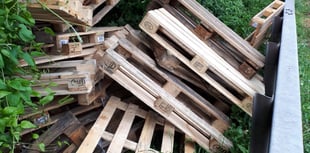 Fly tipping proves costly for lorry driver