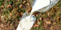 MCC defends Raglan Dairy contract decision