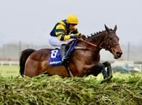 Venetia targets second Grand National upset