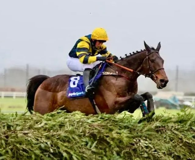 Venetia targets second Grand National upset