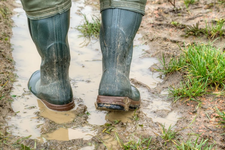 Wellies