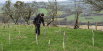 Charity continue mission to plant 1 million trees in Brecon Beacons