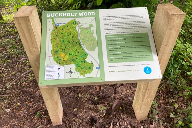 The National Lottery Heritage fund has provided £99,000 for activities at Buckholt Wood