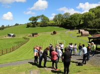 Farming Connect’s successful Women in Agriculture event is back 