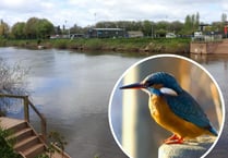 More Wye fishing platforms ‘bad for river’ warns wildlife watchdog