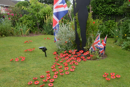 Garden poppy display to commemorate D-Day anniversary