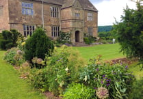 Treowen house and garden open this Sunday, June 30th