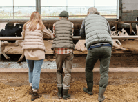 Five reasons to become a farming mentor