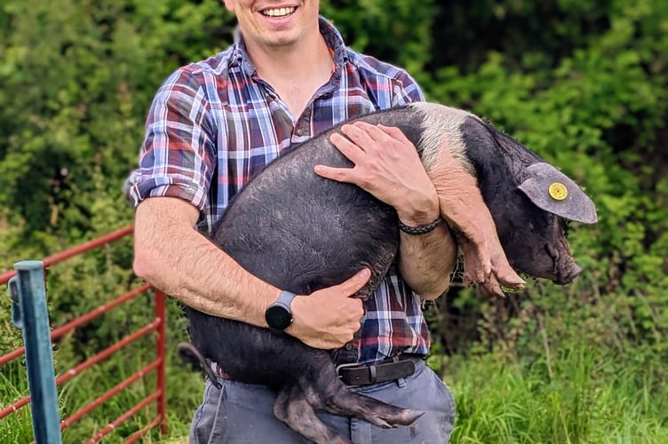 Tom Constable with a pig 