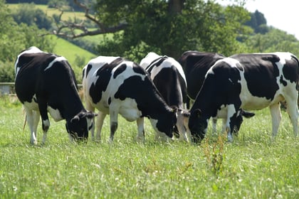 Farming industry feedback shapes new changes to TB testing announced.