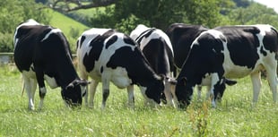 Farming industry feedback shapes new changes to TB testing announced.